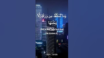 تلاوة مباركة لبعض الآيات من سورة الأنعام |القارئ  محمود الشحات أنور #explore #اكسبلور#قرآن  #quran
