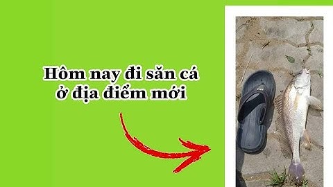 Hôm nay đi câu cá út, cá ngát, cá lù đù và cái kết #Nguyễn Minh Fishing#