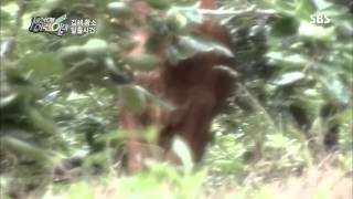 [순간포착 세상에 이런일이] 20131003 #12(4)
