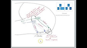 Language and color perception part 2