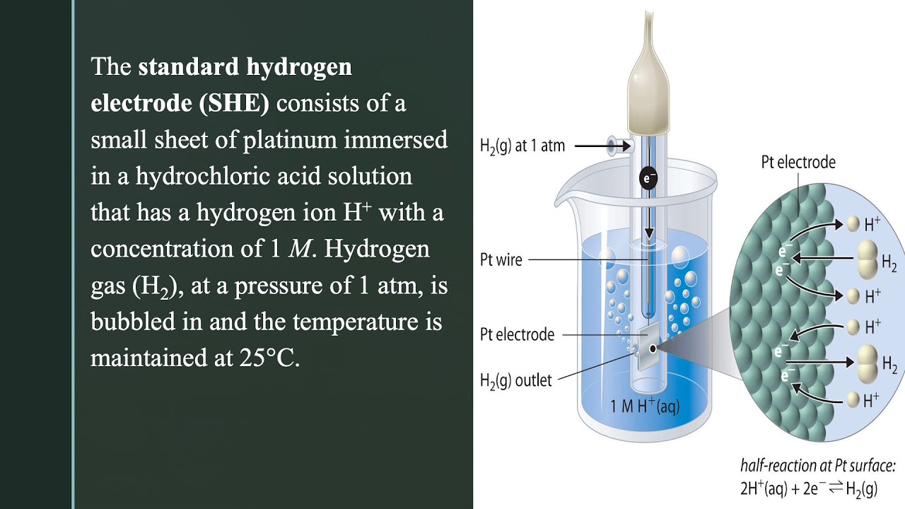 Define standard hydrogen electrode SHE and write the reactions that