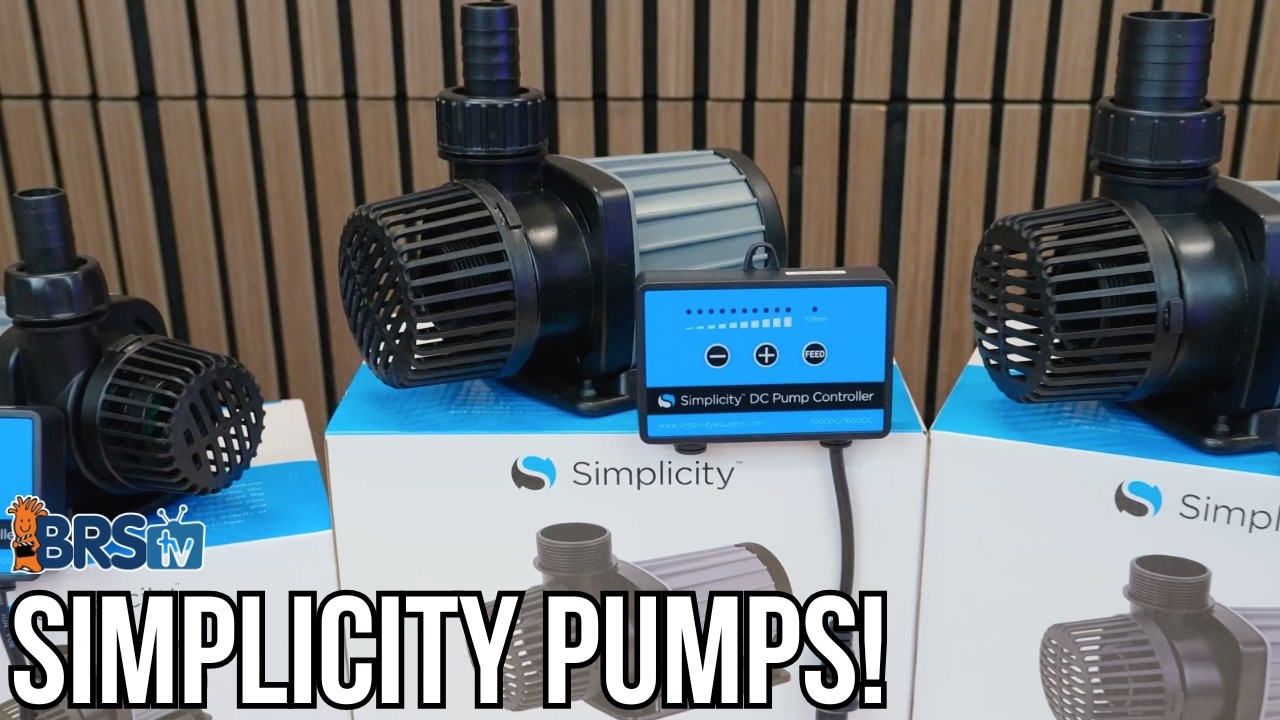 Reef Tank Pumps To Get The Job DONE! Simplicity DC Return Pumps