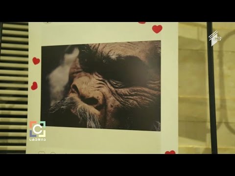 \"მუზეუმი ფოკუსში\"