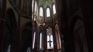 IMG 2073
