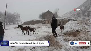 Atlarda Karda Oynadı Keyif Yaptı