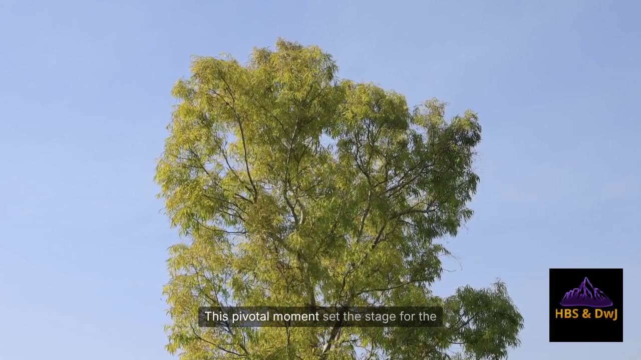 Создание засушливых земель