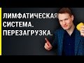 Лимфатическая система человека - перезагрузка, как почистить лимфу?