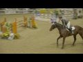 Class 4C - THE DODSON & HORRELL NATIONAL AMATEUR 1.10m GRAND PRIX FINAL