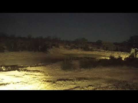 camera iphone 8 plus apk Djuma Private Game Reserve Live Stream