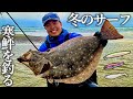 【サーフ釣り】冬の砂浜でヒラメを釣るっ...！鮃を掛けるためのルアーの選択・攻め方とは？