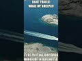 Boat TRAILS WAKE UP SHEEPLE