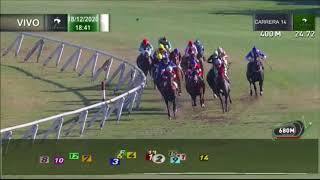 Vidéo de la course PMU PREMIO RECLAMA