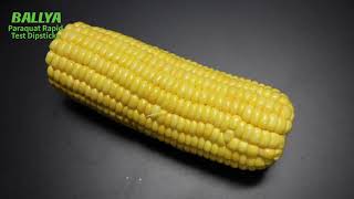 BALLYA Paraquat Test - Detection of Paraquat in Corn - BALLYA