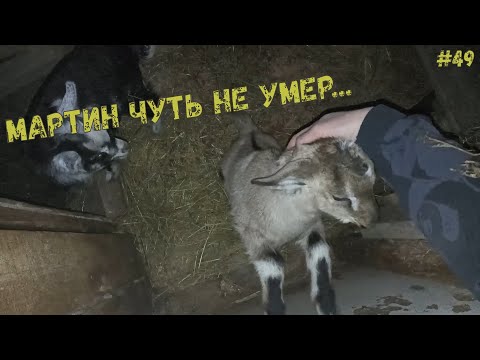 Мартин чуть не