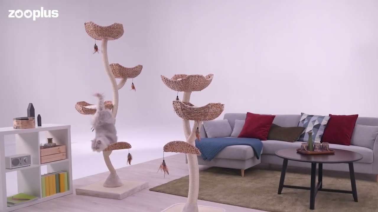 Arbre à chat Cat's Flower