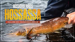 ONNISTUMISIA HOSSAN KOSKILLA - Perhokalastusreissu Suomussalmella