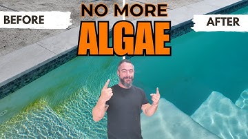 Pool RX Does It Really Work?