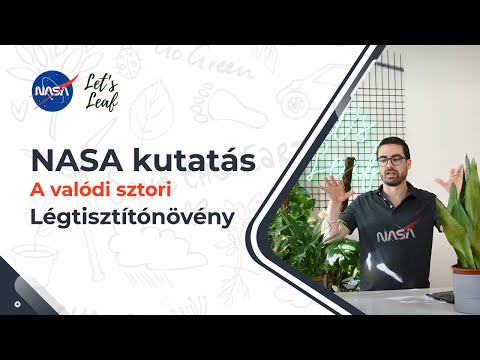 Légtisztító növények | Megnéztem az igazi NASA kutatást