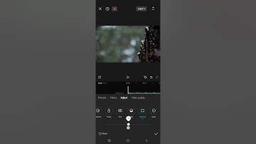 ~ The Secret to Stunning Photos & Videos: Mastering Vignette Effect in CapCut Mobile! ✨