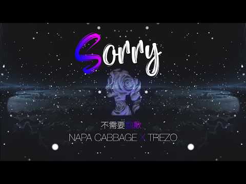 不需要抱歉 (Sorry) - Napa Cabbage X Trezo [Official Lyric Video]