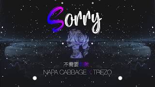 不需要抱歉 (Sorry) - Napa Cabbage X  Trezo [Official Lyric Video] chords