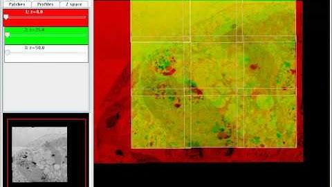 TrakEM2 - automatic montage and manual registration