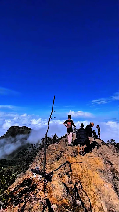 emang boleh lawu se indah ini #pendakigunung #gunung #mountains #storywa #fyp #foryou #gununglawu