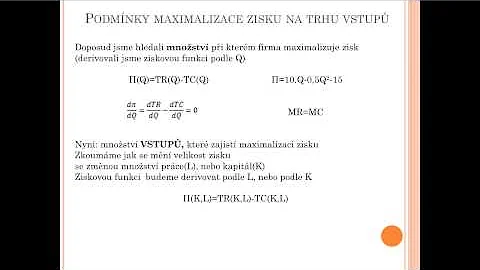 Jaké je pravidlo maximalizace zisku?