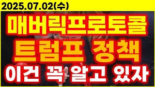 매버릭프로토콜, 트럼프 정책 &#39;이건&#39; 꼭 알고있자!!