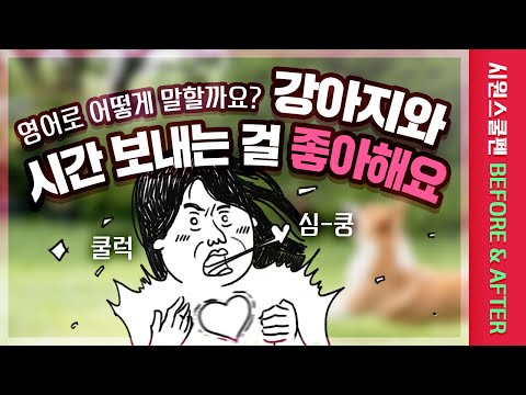 | 시원스쿨펜 <strong>BEFORE</strong>&amp;<strong>amp</strong>;<strong>AFTER</strong> | 영어회화 | 왕초보영어