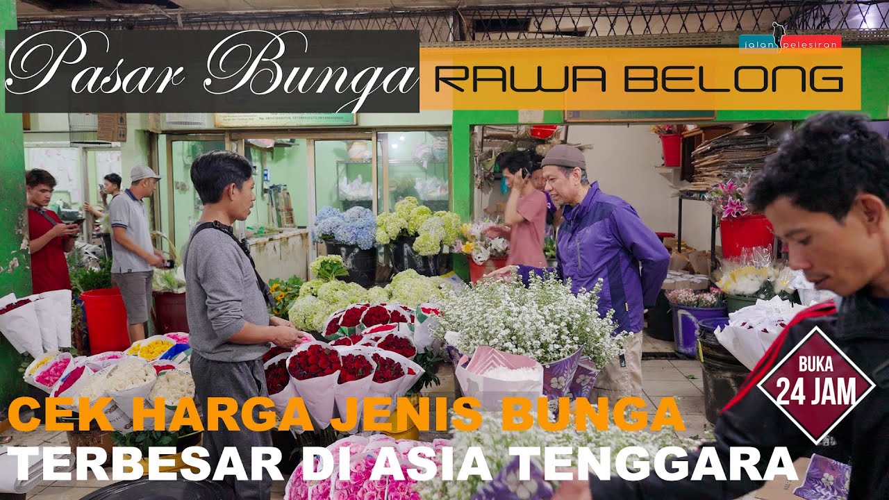 Harga Berbagai Macam Jenis Bunga di Pasar Bunga Rawa Belong Yang Buka ...