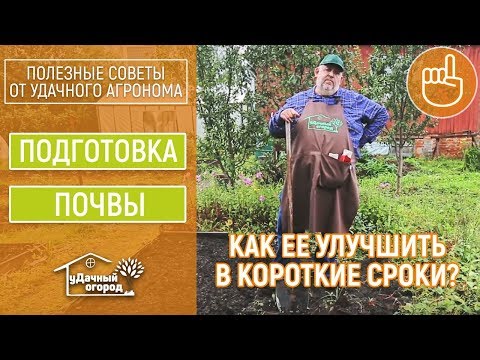 Правильная подготовка почвы к зиме осенью.