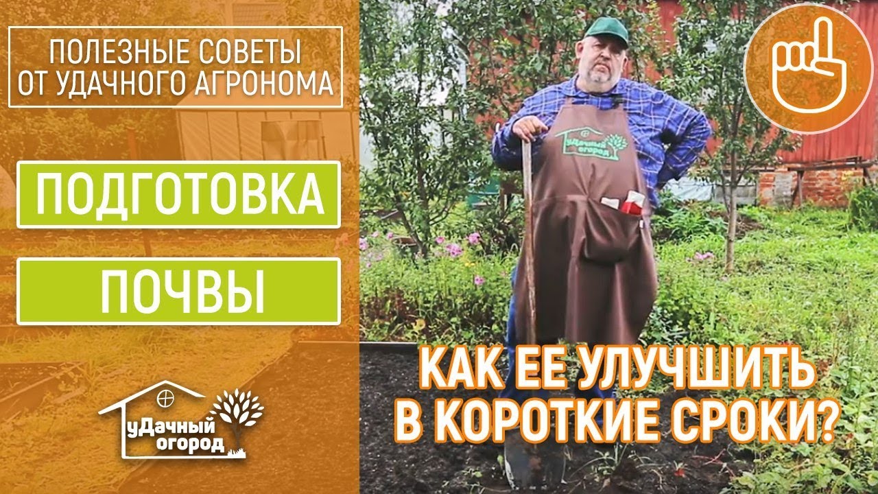 Обработка почвы осенью. Подготовка земли к следующему сезону Обработка почвы осенью. Подготовка земли к следующему сезону