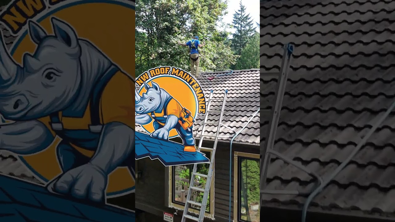 Vancouver WA Roof Cleaning Softwash