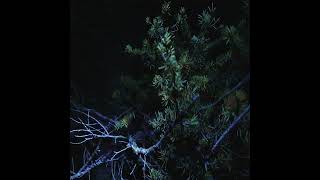 LAS - Twilight (Lost)