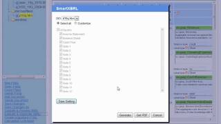 SmartXBRL: Validating and Generating Your XBRL Information