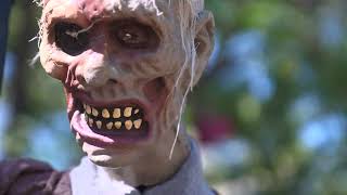 Caught on camera: Texas Halloween decorations stolen