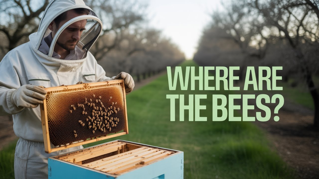 Вымирание пчел: что если бы опылители исчезли? 🐝