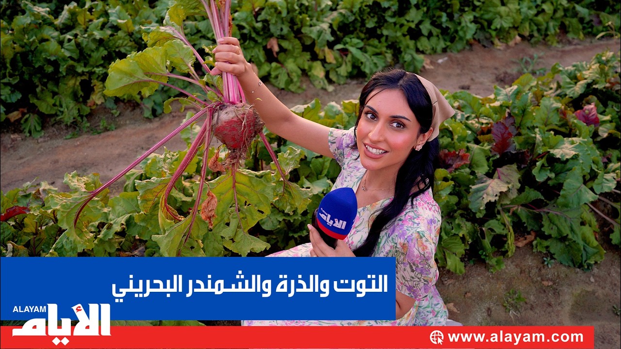 ��� �� ���� ����� ������ ��� ����� ������ ������� ��������
 - نشر قبل 8 دقيقة