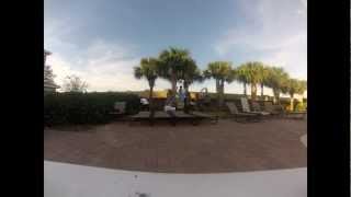 Davenports Harlem Shake