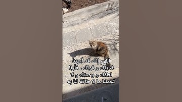 محمد الحريري #سورة_الملك
