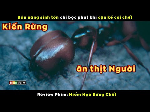 Video sinh tồn nơi Rừng Già chốn dễ đến khó đi - review phim... - YouTube