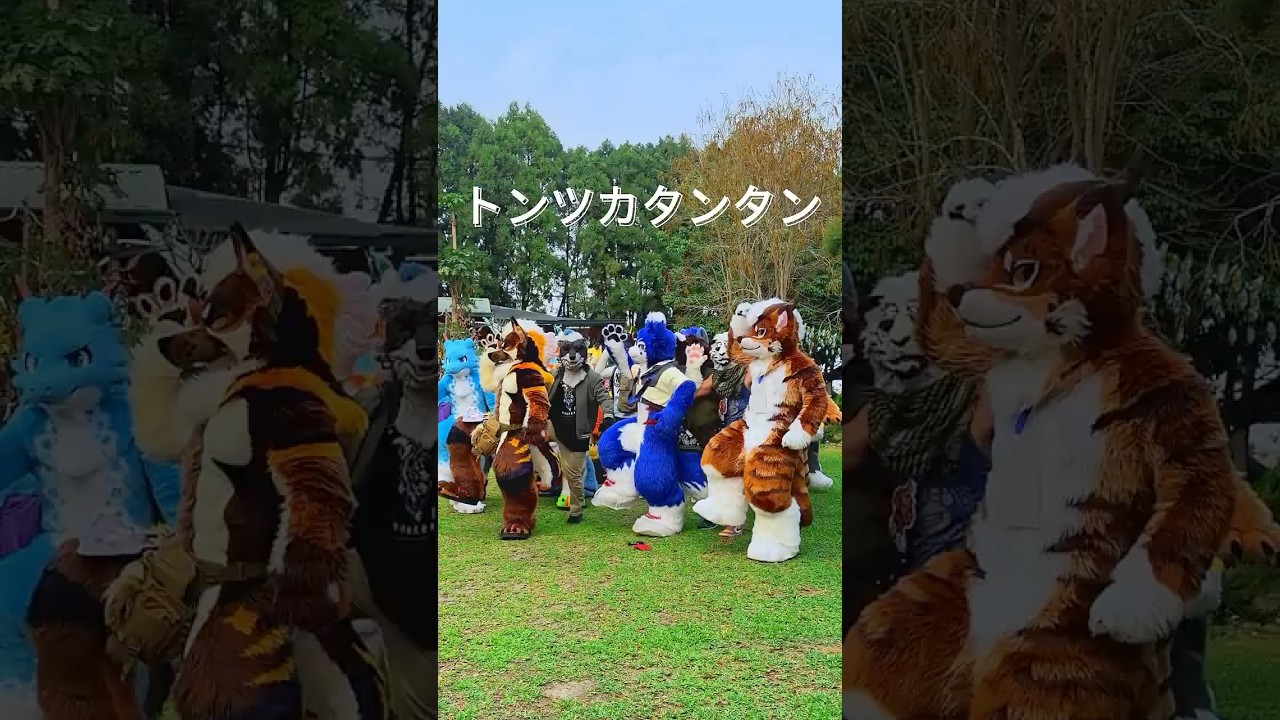 #トンツカタンタン #クレイジーウォウウォ!! #着ぐるみ #踊ってみた