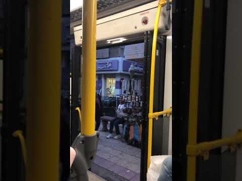 شاهد رحله بترام اسكندريه