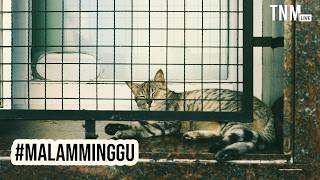 Download Lagu kurangnya pendidikan | #MalamMinggu MP3