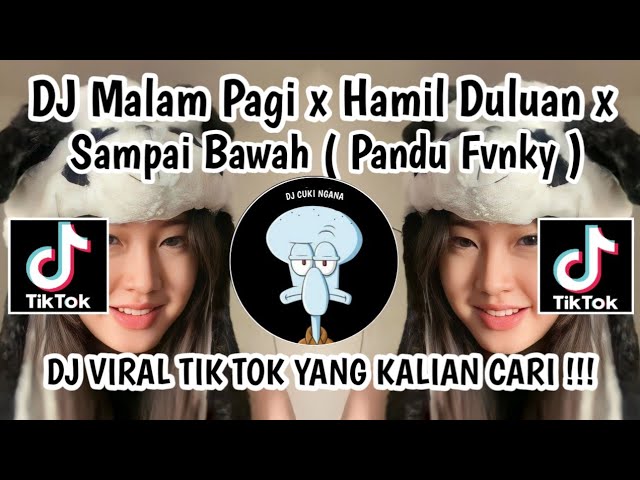 DJ MALAM PAGI X HAMIL DULUAN X SAMPAI BAWAH || SOUND PANDU FVNKY VIRAL TIK TOK YANG KALIAN CARI class=