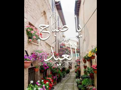 صباح العيد عيد الفطر عيدكم مبارك كل عام وانتم بخير حالات واتس بدون حقوق مجانيه