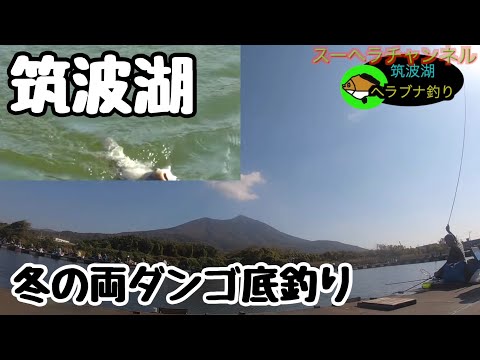 【茨城県筑波湖】◆冬の両ダンゴ底釣り◆新ベラを狙う！◎ヘラブナ釣り