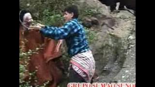 LISBETH MARALLANO QARQACHA