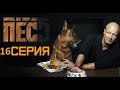 "Пес-5". 16 серия (НТВ) - АНОНС